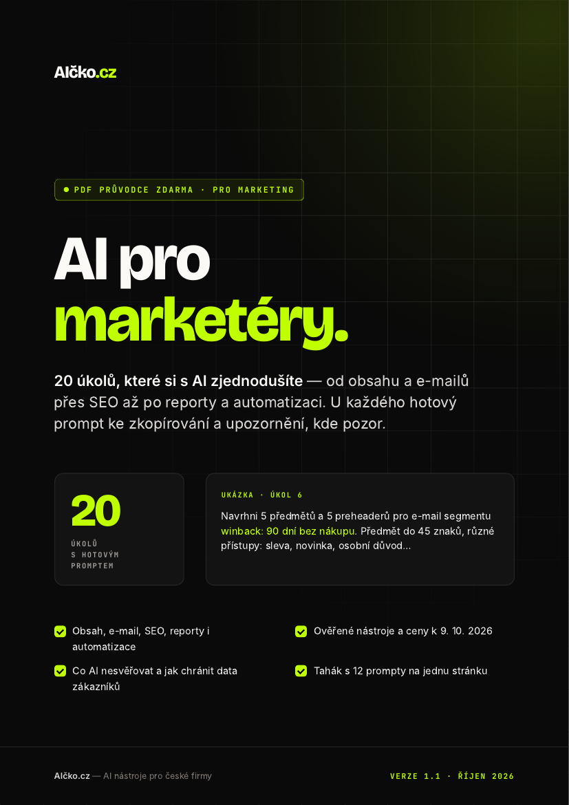 Obálka: AI pro marketéry: průvodce úkolů a promptů